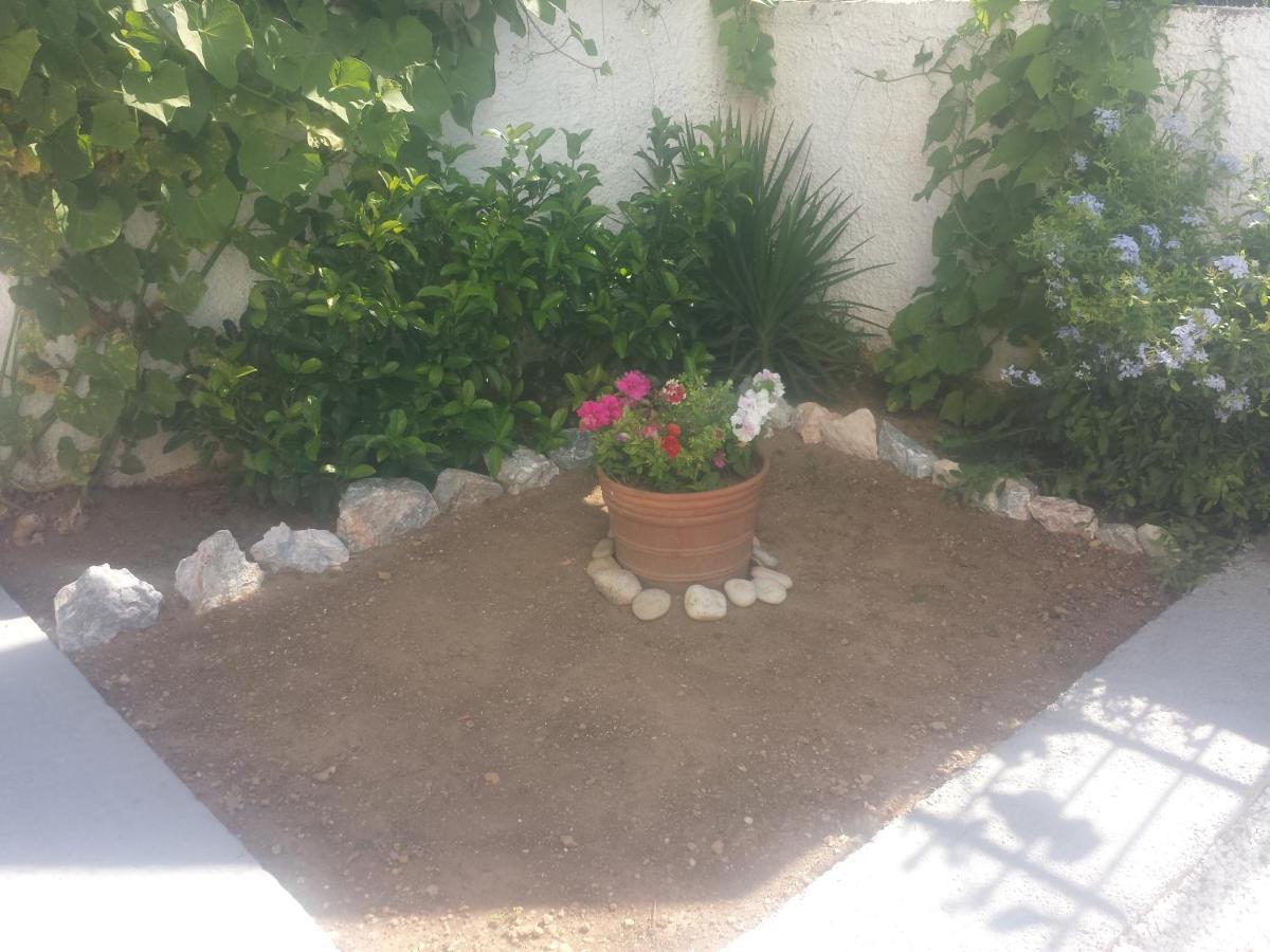 فيلا أرتيميدافي Smile House Near Athens Airport 300M From The Sea المظهر الخارجي الصورة