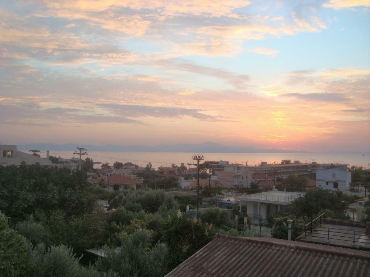 فيلا أرتيميدافي Smile House Near Athens Airport 300M From The Sea المظهر الخارجي الصورة