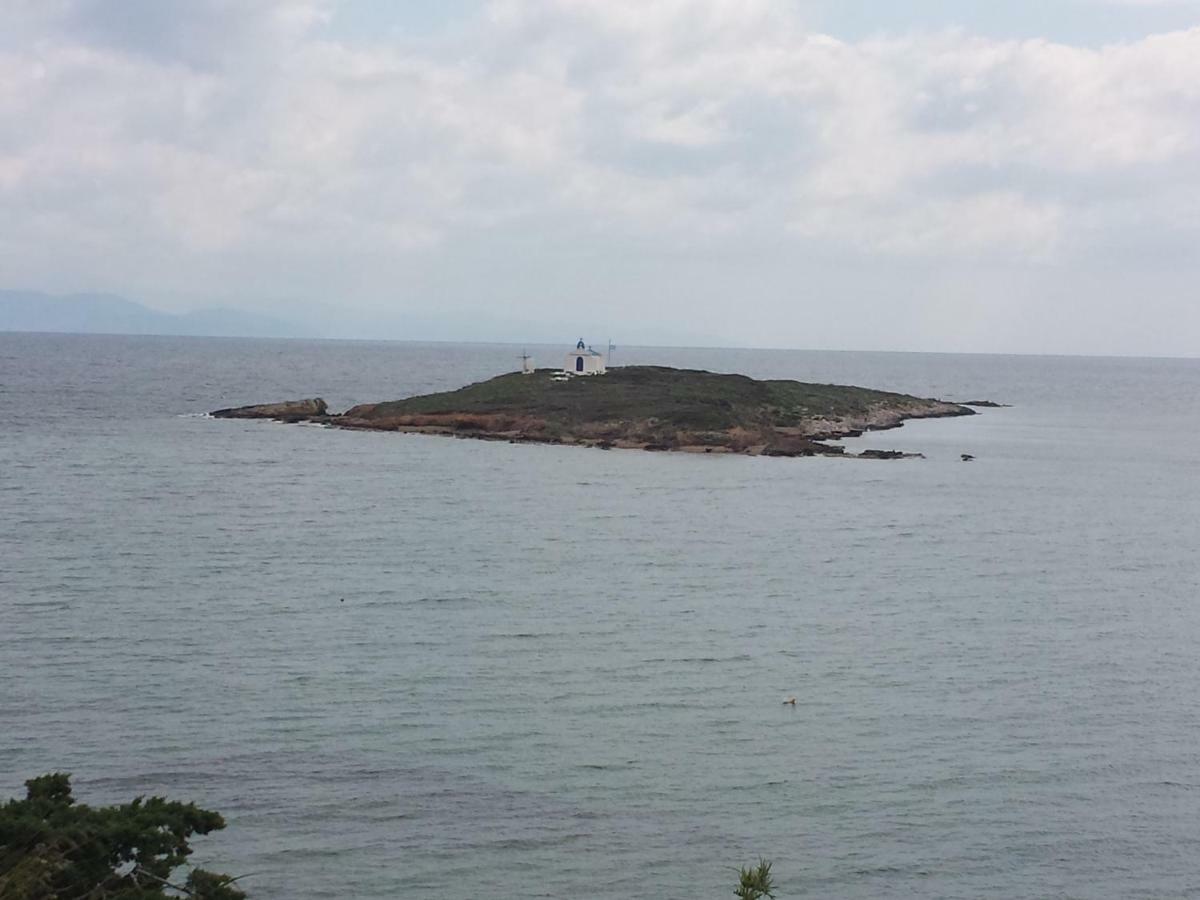 فيلا أرتيميدافي Smile House Near Athens Airport 300M From The Sea المظهر الخارجي الصورة
