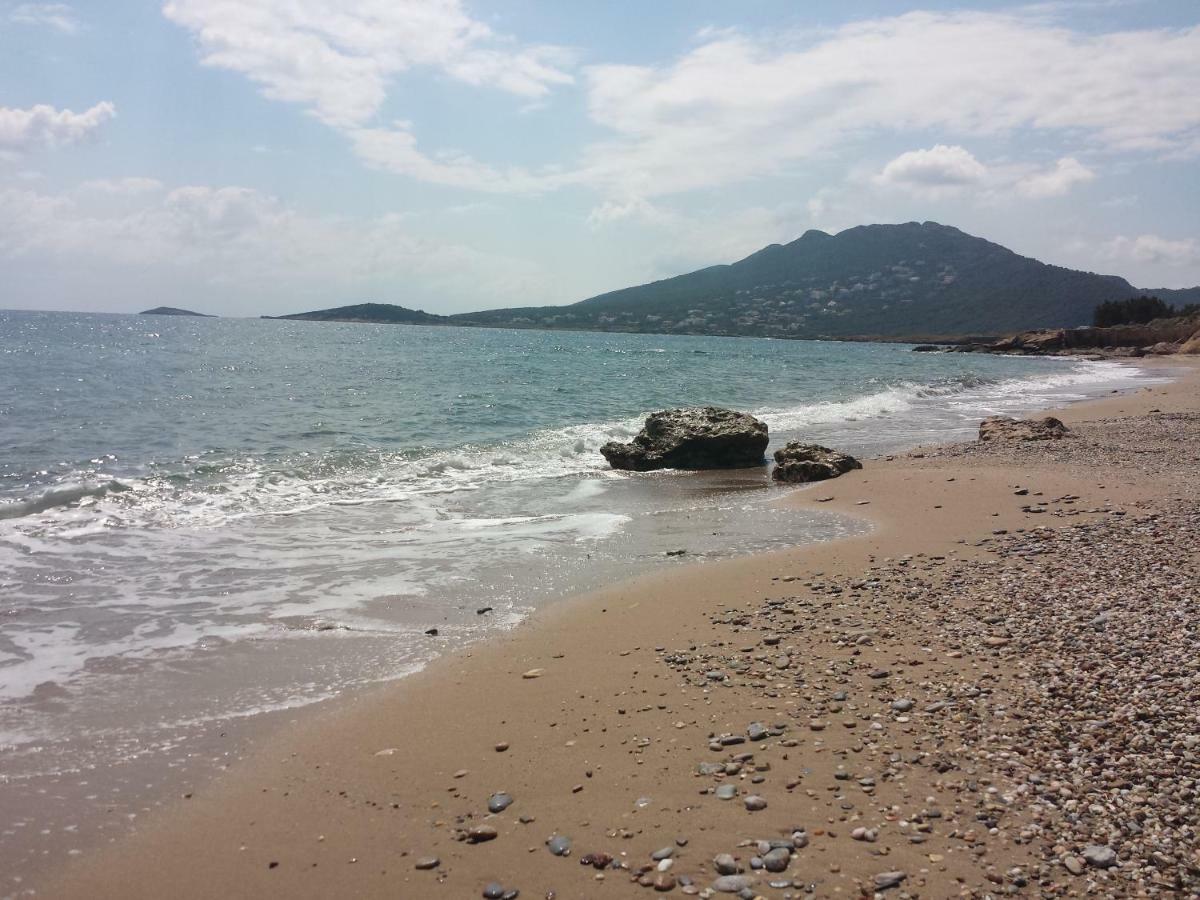 فيلا أرتيميدافي Smile House Near Athens Airport 300M From The Sea المظهر الخارجي الصورة