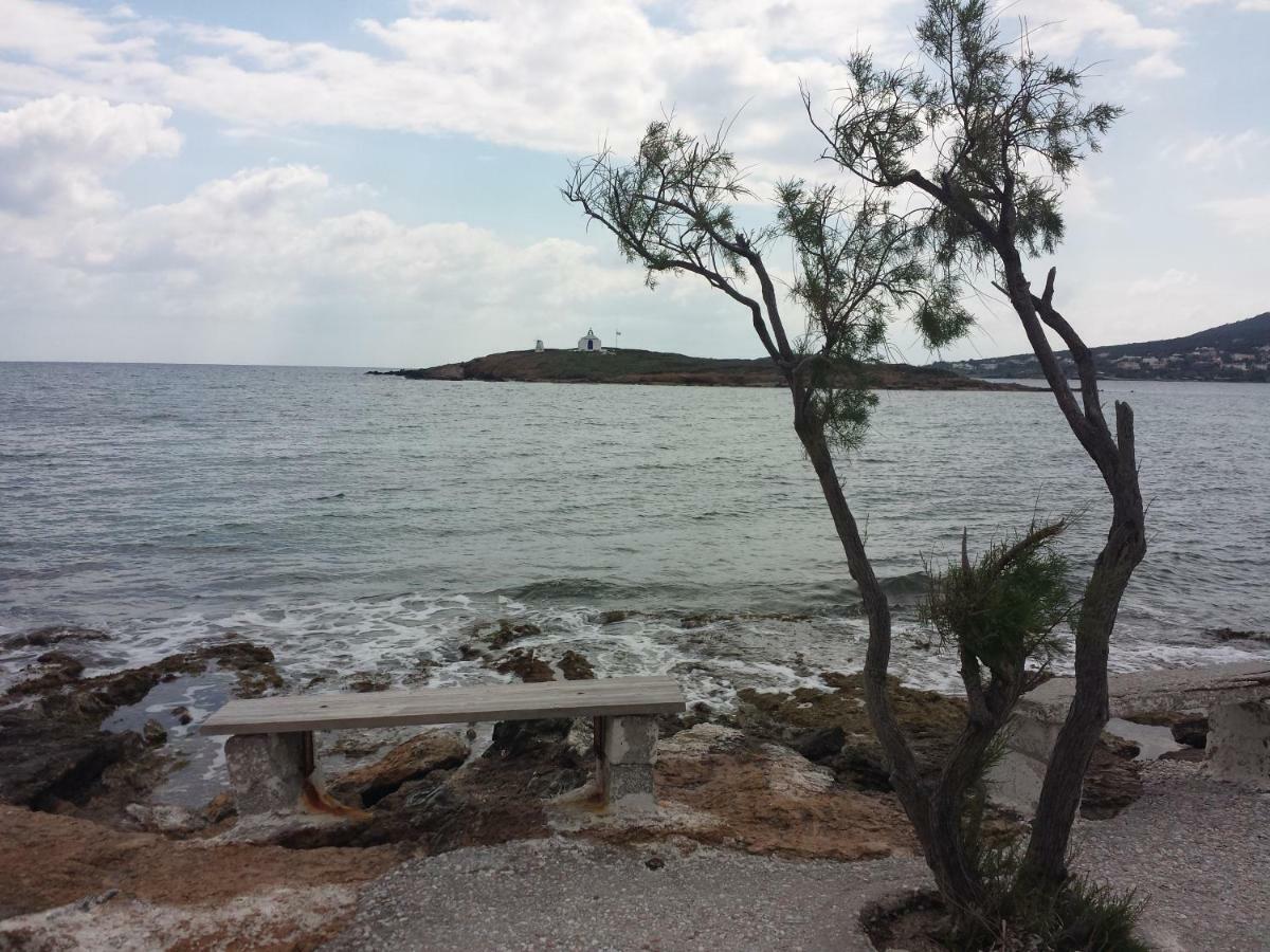 فيلا أرتيميدافي Smile House Near Athens Airport 300M From The Sea المظهر الخارجي الصورة