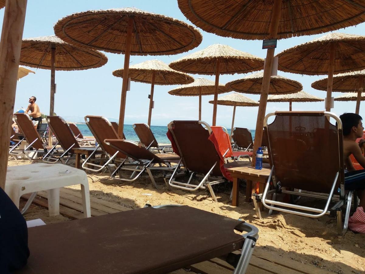 فيلا أرتيميدافي Smile House Near Athens Airport 300M From The Sea المظهر الخارجي الصورة